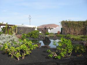 Garten in Manriques Haus