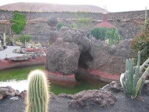 im Kakteengarten
